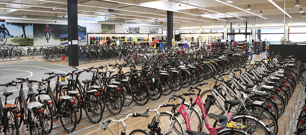 Fahrräder und EBikes in Kassel kaufen Markenräder