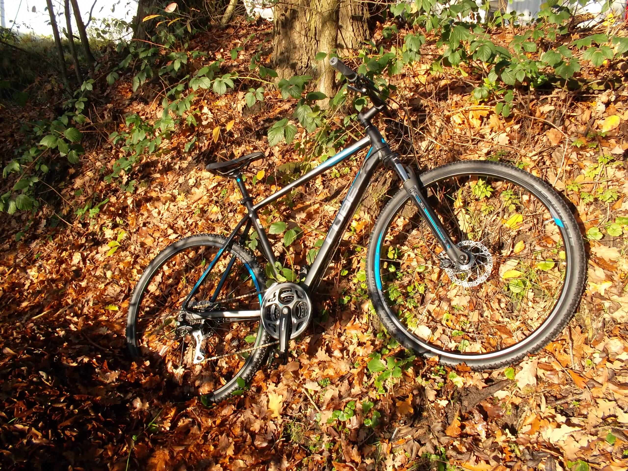 Cube Curve Pro Crossbike in Seitenansicht in einem laubbedeckten Hang.
