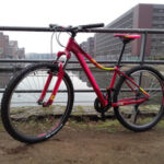 Das Cube Access WLS Damen-MTB in Seitenansicht.