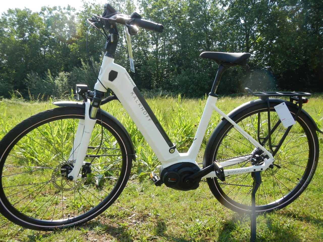 Weißes Kalkhoff E-Bike mit Tiefeinstieg, Gepäckträger und Federgabel auf einer Wiese.