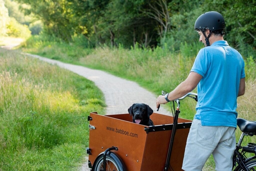 Hund sitzt in einem Babboe Dog Lastenrad in grüner Kulisse.
