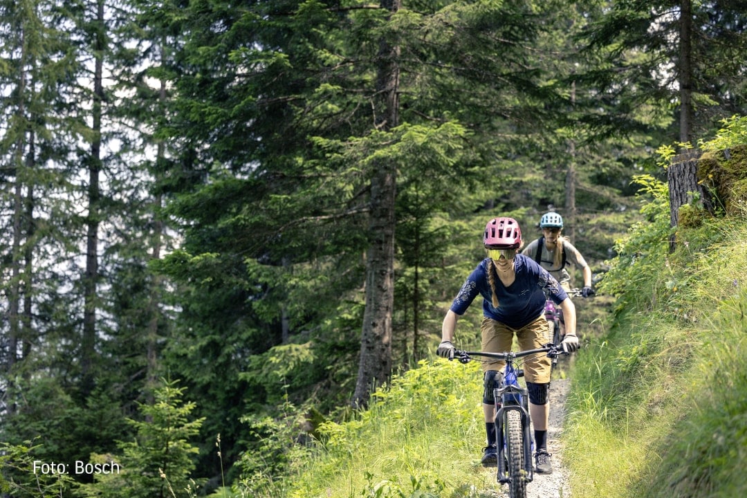 Zwei Mountainbikerinnen fahren hintereinander auf einem schmalen Trail durch den Wald.