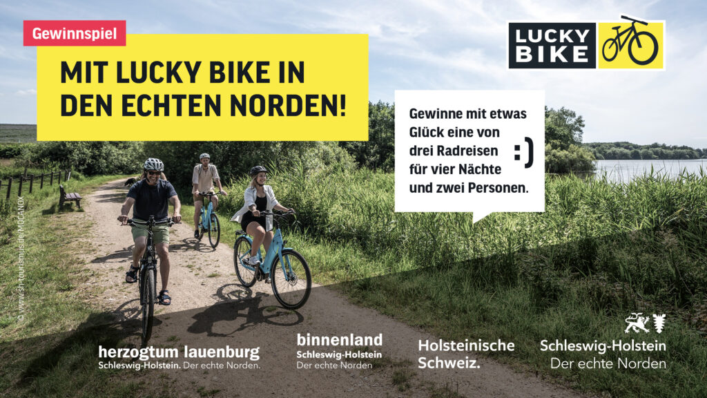 fahrrad leasing uvp Himiway D5 2.0 Fully Fat E-Bike 2026 Automatik UVP: 2699€ – wunderfahrrad Category:Gravel Bikes_Diamant ComfortXL GASGRILL DE-10275 Edelstahl Farbe:Reinorange
