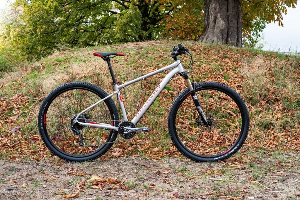 Test: Marin Bobcat LTD Alivio