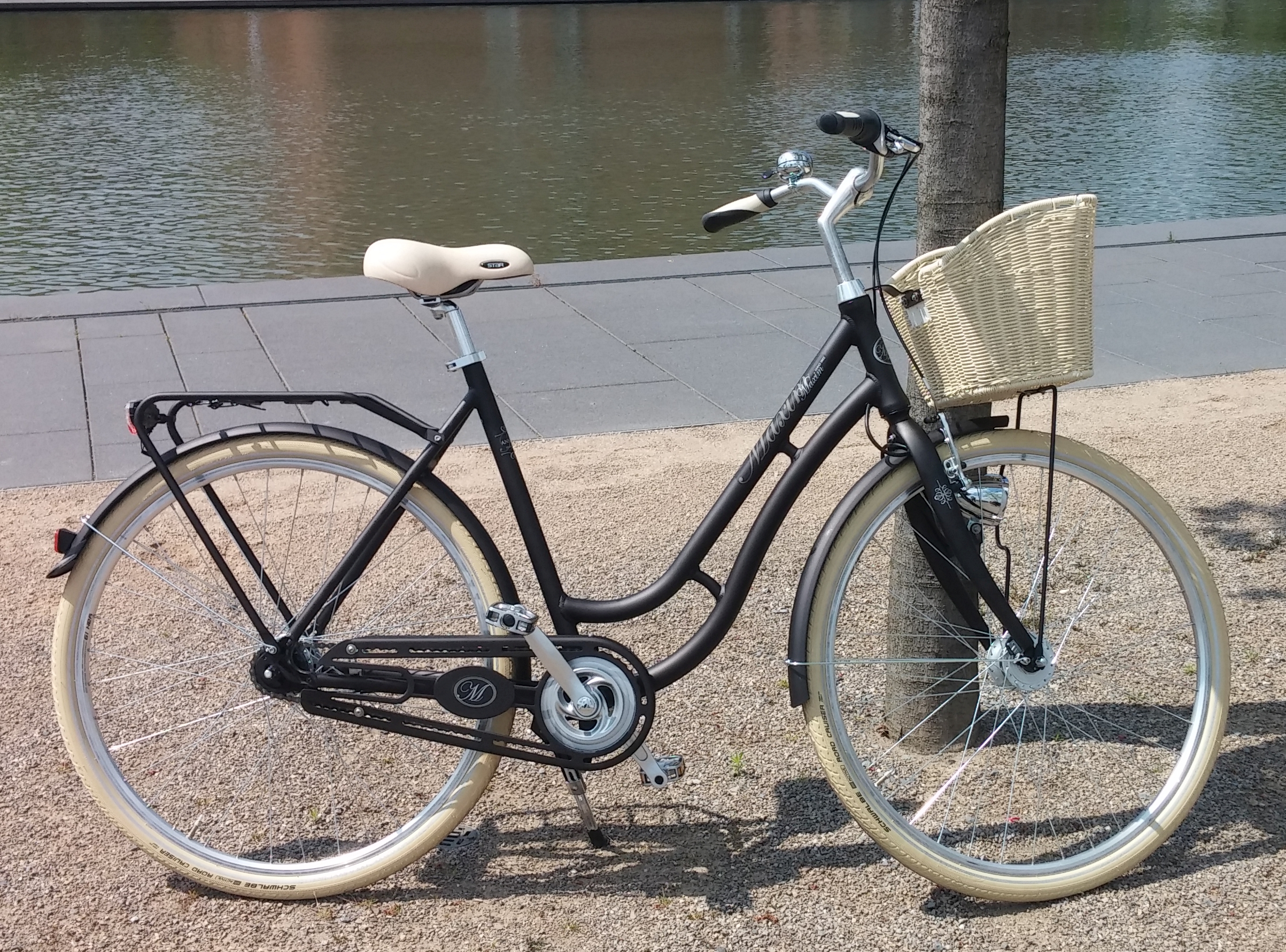 centurion trekking e-bike Backfire Fit E R860i EQ 29 inch E-Mountainbike Used | Refurbished Riders of Bergamont | ebike jugendlich Motiv:Libelle lila