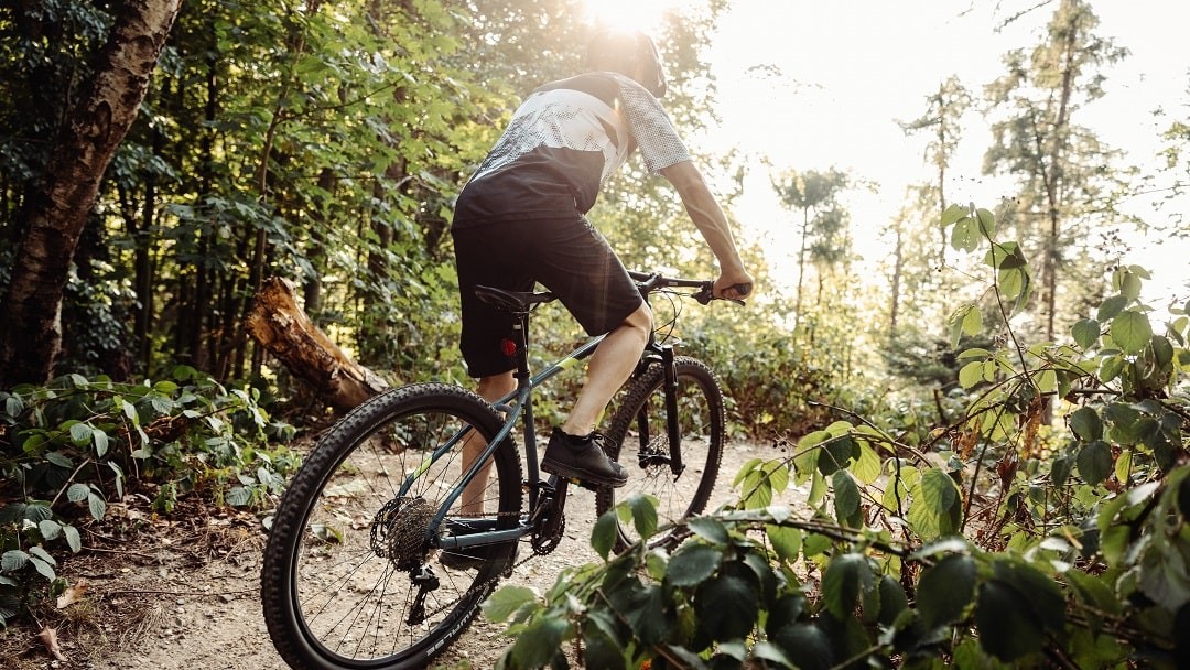 MTB Hardtail Kaufberatung