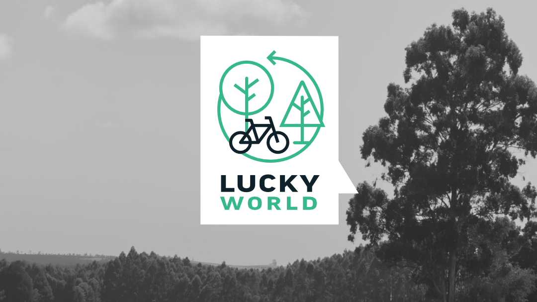 Lucky World_Stellungnahme_Header