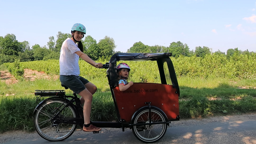 Babboe Big-E - Lastenrad mit Elektroantrieb günstig online kaufen - E-Lastenrad